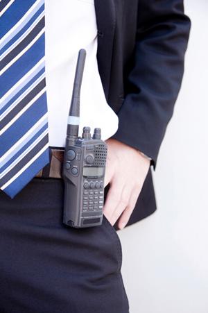 2025年最新版：食用金粉の安全性と選び方を徹底解説